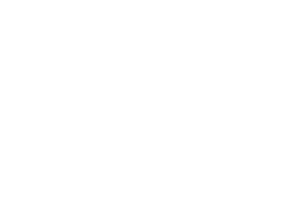 The Ballie Webshop